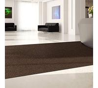 KARAT Hong Kong - Zerbino resistente su misura, al metro, altezza 10 mm, robusto, tappetino per ingresso, resistente (marrone, 100 cm x 250 cm)