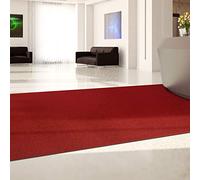 KARAT Zerbino su misura Hong Kong - Tappeto a metro - Zerbino robusto da 10 mm di altezza - Zerbino antisporco resistente (Rosso, 100 cm x 250 cm)