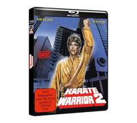 KARATE WARRIOR 2 - HD-Premiere (Blu-ray) Kim Rossi Stuart Ted Prior