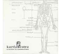 Karda Estra - A Winter In Summertime