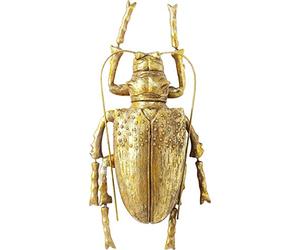 Kare Design Decorazione da Parete Longicorn Beetle, Oro, 27x7x15cm