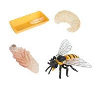 KARELLS 4 PCS Statuette di Insetti Api, Ciclo di Vita dell'Ape, Figure di Ape, Figurine Giocattolo, Simulato Animale, Cognizione Prop