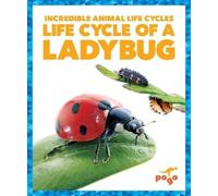 Karen Latchana Kenney Life Cycle of a Ladybug (Copertina rigida)