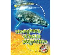 Kari Schuetz Humpback Whale Migration (Copertina rigida) Animals on the Move