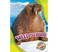 Kari Schuetz Walruses (Copertina rigida) Ocean Life Up Close