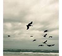 Karl Berger In a Moment: Music for Piano & Strings (CD) Album