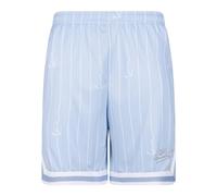 Karl Kani Herren KM242-012-3 Small Varsity Logo Pinstripe Mesh Shorts S Light Blue/White