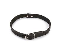 Karlie - Collare a diamante, 20 mm di larghezza x 57 cm di lunghezza x 20 mm di larghezza, colore: nero