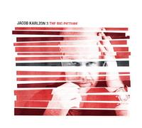 Karlzon, Jacob - Big Picture