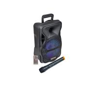 Audio & Hi-Fi Karma: Diffusore Amplificato Con Radiomicrofono 300W Pmpo