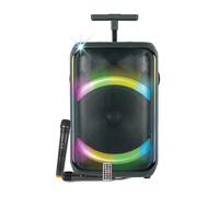 Karma CASSA AUDIO DIFFUSORE AMPLIFICATO AURALIS CON RADIOMICROFONO - WOOFER 12"