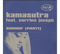 Karma Sutra Ft Corrina - Burning
