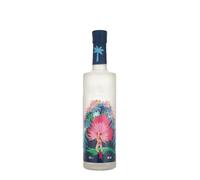 Karneval Premium Vodka 40% Vol 0.5 l