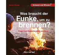 Karolin Küntzel Was braucht der Funke, um zu brennen?: Schaue (Copertina rigida)