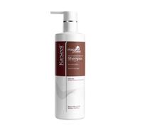 Karseell Shampoo idratante Maca Essence Olio di Argan, Ricostruttore per Capelli secchi e danneggiati, Idratazione Profonda, Tutti i Tipi di Capelli, 500 ml