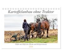 Kartoffelanbau ohne Traktor (Tischkalender 2026 DIN A5 quer), CALVENDO Monatskalender: Der Anbau von Kartoffeln mit unseren Pferden und Körpereinsatz.