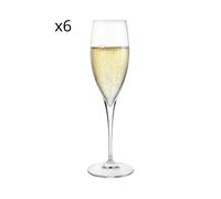 Set 6 flute Champagne Io vino in vetro cristallo