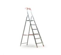 Scala Domestica 6 Gradini In Alluminio Leggera Con Porta Oggetti E Pedana 190 cm