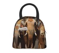 kaslhsQ Borsa termica per il pranzo con stampa di elefanti asiatici, a prova di perdite, riutilizzabile, portatile, per lavoro, scuola, picnic, studenti