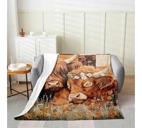 kaslhsQ Coperta rustica con mucca delle Highlands, 127 x 152 cm, con stampa in pelle bovina occidentale, per bambini, ragazzi, ragazze, adulti, coperta pelosa in flanella con animali di campagna