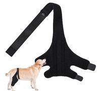 Kasmole Tutore per Anca per Cani | Tutore di Supporto per Le Gambe del Cane Tutore di Supporto per Le Gambe del Ginocchio del Cane da Compagnia, Protezione per Le Gambe per Cani