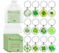 Kasyat 12 Set Portafortuna Incluso 12 Portachiavi Portafortuna con Quadrifoglio Ferro di Cavallo 12 Carte Viel Glück 12 Sacchetti Regalo di Buona Fortuna per Addio Grazie Natale Capodanno