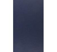 Katarzyna Sokolowska Conrad and Turgenev - Towards the Real (Copertina rigida)