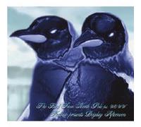 Katchin Pres.Dogday Afternoon - Bird from North Pole Feat. Woww