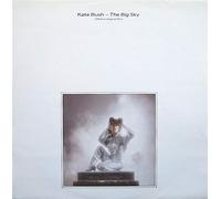 KATE BUSH - KATE BUSH / THE BIG SKY