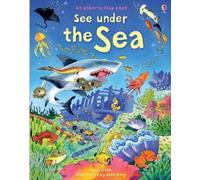 Kate Davies See Under the Sea (Libro di cartone) See Inside
