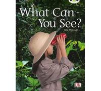 Kate McGough Bug Club Non-fiction Red A (KS1) What Can You (Mixed Media Product)