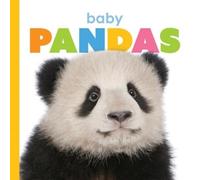 Kate Riggs Baby Pandas (Libro di cartone)