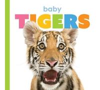 Kate Riggs Baby Tigers (Libro di cartone)