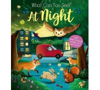Kate Ware What Can You See At Night? (Libro di cartone) What Can You See?