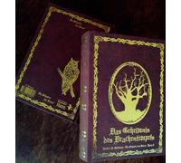 Kathrin R. Hoto Im Schatten der Hexen VIII: Das Geheimnis des Drache (Tascabile)