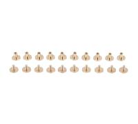 Katnetoly 10 x in massiccio a Vite a chiodo Vite con cinturino rivetto in cuoio 6mm