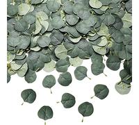 Katnetoly 100 Pezzi di Foglie di Eucalipto Rose Artificiali Fiori Decorazione della Casa Matrimonio Ghirlanda di Natale Materiale