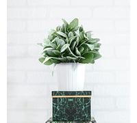 Katnetoly 24PZ Artificiale Floccato Agnelli Orecchio Verde Gambi Faux Agnelli Orecchio Steli Orecchio di Agnello Faux Verde Decor Artificiale