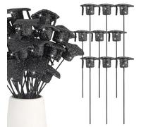 Katnetoly 36 Pezzi Plettri Glitter per Cappelli da Laurea Plettri per Cappelli in Schiuma per Centrotavola per Feste di Laurea, Decorazioni per Riempitivi per Vasi