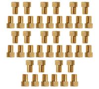 Katnetoly 50 Pezzi Adattatore per Valvola per Bici Pompa per Bicicletta Convertitore da Presta A Schrader Adattatore per Valvola in Rame Ugello del Gas Tubo Strumento per Ciclismo