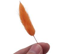 Katnetoly 60 Pezzi di Fiori Secchi Autunnali Code di Coniglio Fiori Secchi Lagurus Ovatus Coda di Coniglio Erba per Fiori Secchi (Arancione)