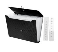 Katnetoly Cartella di File Espandibile, 13 Tasche Organizzatore di File A Fisarmonica, Formato A4 Lettera Organizzatore di Ricevute di Documenti Cartacei Durevole Facile da Installare Facile da Usare