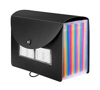 Katnetoly Cartella di File Espandibile A 24 Tasche Cartelle A Fisarmonica Lettera Documento Cartaceo A4 con Etichette Vuote Organizzatore di Archiviazione Desktop