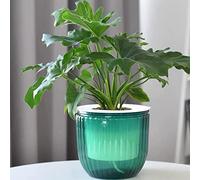 Katnetoly Confezione da 2 Vasi da Fiori Autoirriganti da Appendere all'Interno, Cesto per Vasi da Appendere All'Aperto da 6,5 Pollici (Smeraldo)