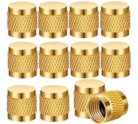 Katnetoly Coperchio Svasato 1/4, Rotondo In con Guarnizione O-Ring In Neoprene, Coperchio Valvola HVAC, Coperchio Serratura Refrigerante, Coperchio Serratura HVAC 10 Pezzi