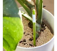 Katnetoly Cura Delle Piante da Interno 4 Pezzi Aquameter: Piccoli Sensori di Umidità del Suolo per Un'Annaffiatura Ottimale Delle Piante da Casa