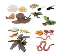 Katnetoly di Vita di Rana Lombrico Libellula, Girino Un Rana Safariology Anfibio Figurine Kit Giocattolo, Progetto Scolastico