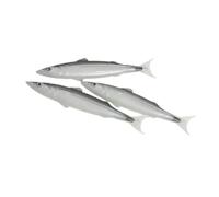 Katnetoly Divertente Penna A Sfera per Lo Styling del Pesce Salato Serie Ocean Penna A Sfera per Lo Styling Dei Pesci, Facile da Usare