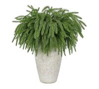 Katnetoly Finto Verde Natalizio 8PCS Rami di Pino Norfolk da 18,5 Pollici, Stelo Artificiale per Garlanda