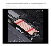 Katnetoly M.2 NVMe SSD Dissipatore di Dissipatore di per SSD del Laptop Dissipatore di per SSD Radiatore 0,8 mm per Disco Rigido SSD M2 2280 in Rame Dissipatore di con Pad Termi